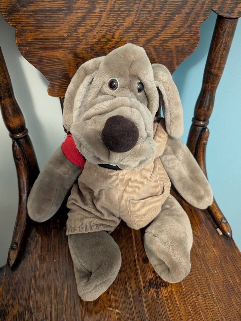 Vintage Wrinkles Dog